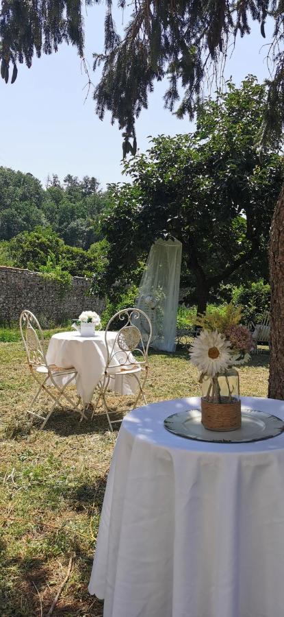 La Maison De Jardin Lucca Ngoại thất bức ảnh