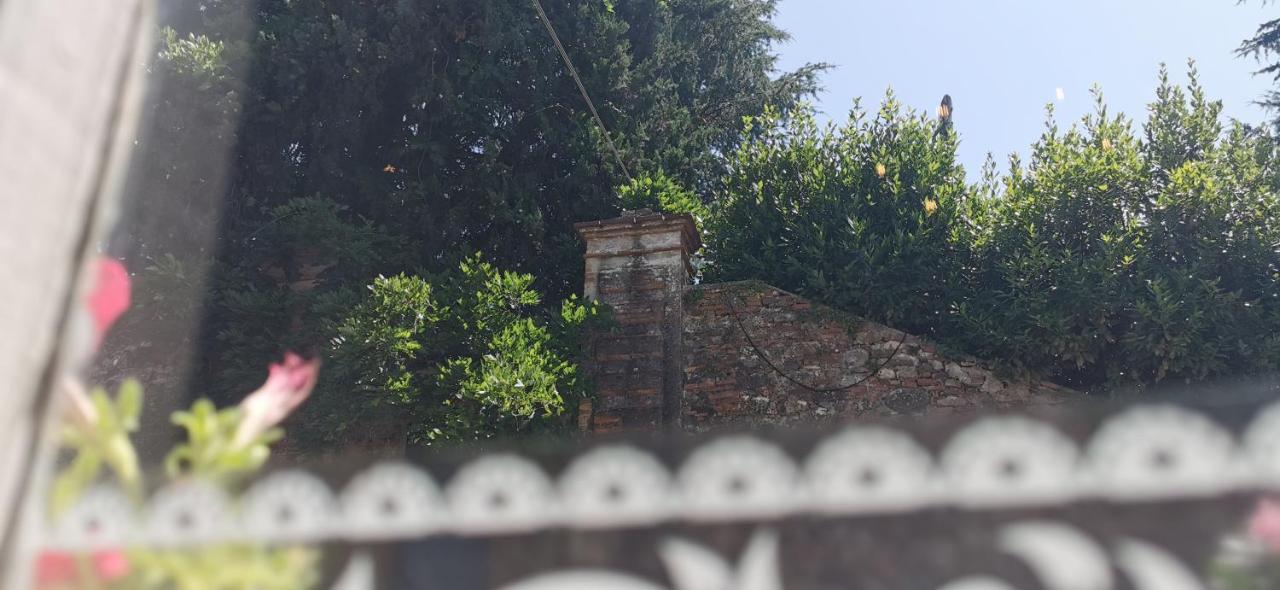 La Maison De Jardin Lucca Ngoại thất bức ảnh