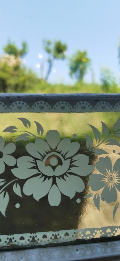 La Maison De Jardin Lucca Ngoại thất bức ảnh