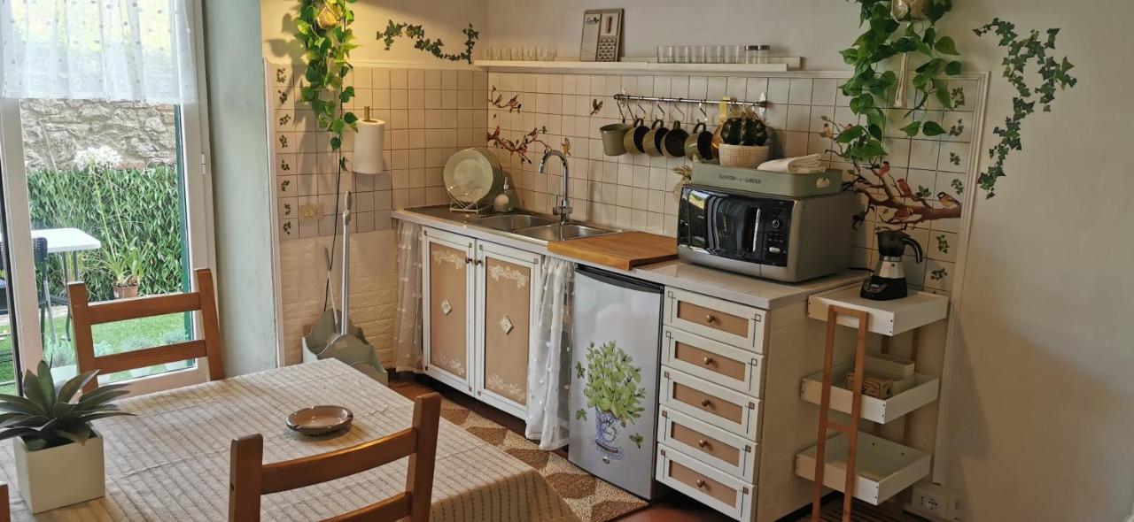La Maison De Jardin Lucca Ngoại thất bức ảnh