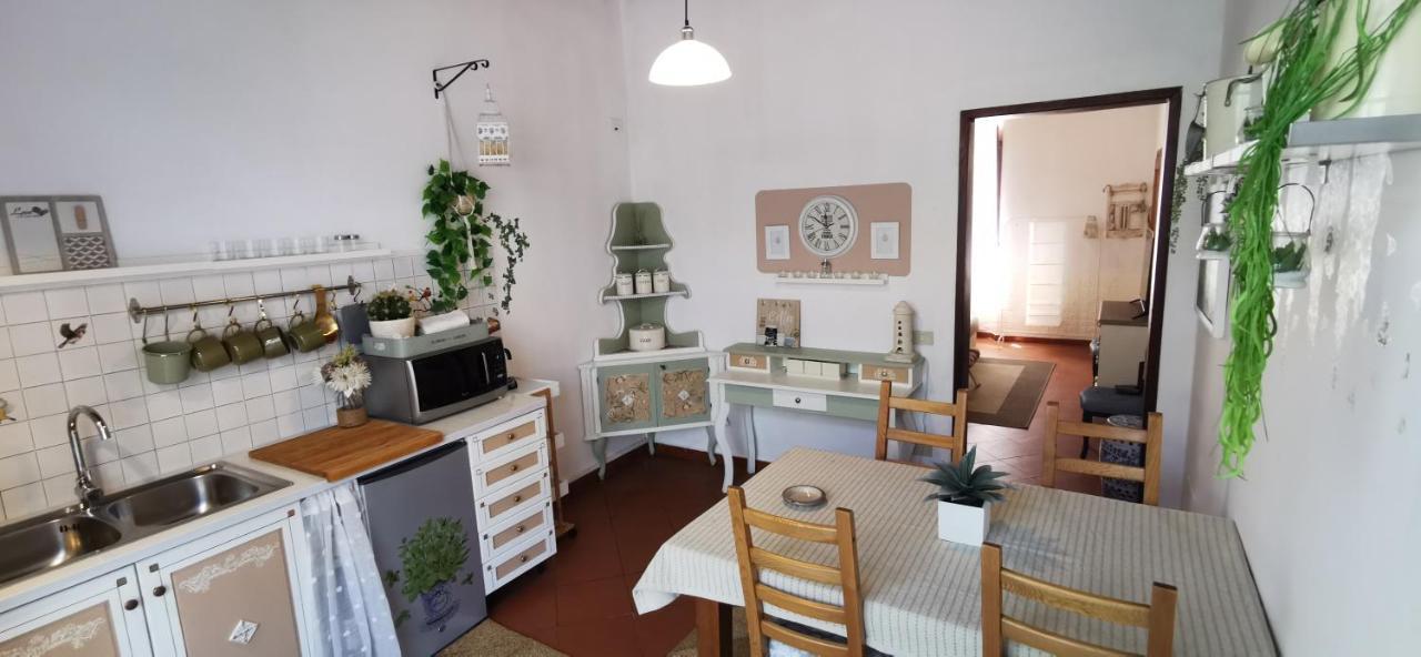 La Maison De Jardin Lucca Ngoại thất bức ảnh