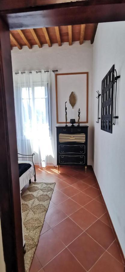 La Maison De Jardin Lucca Ngoại thất bức ảnh