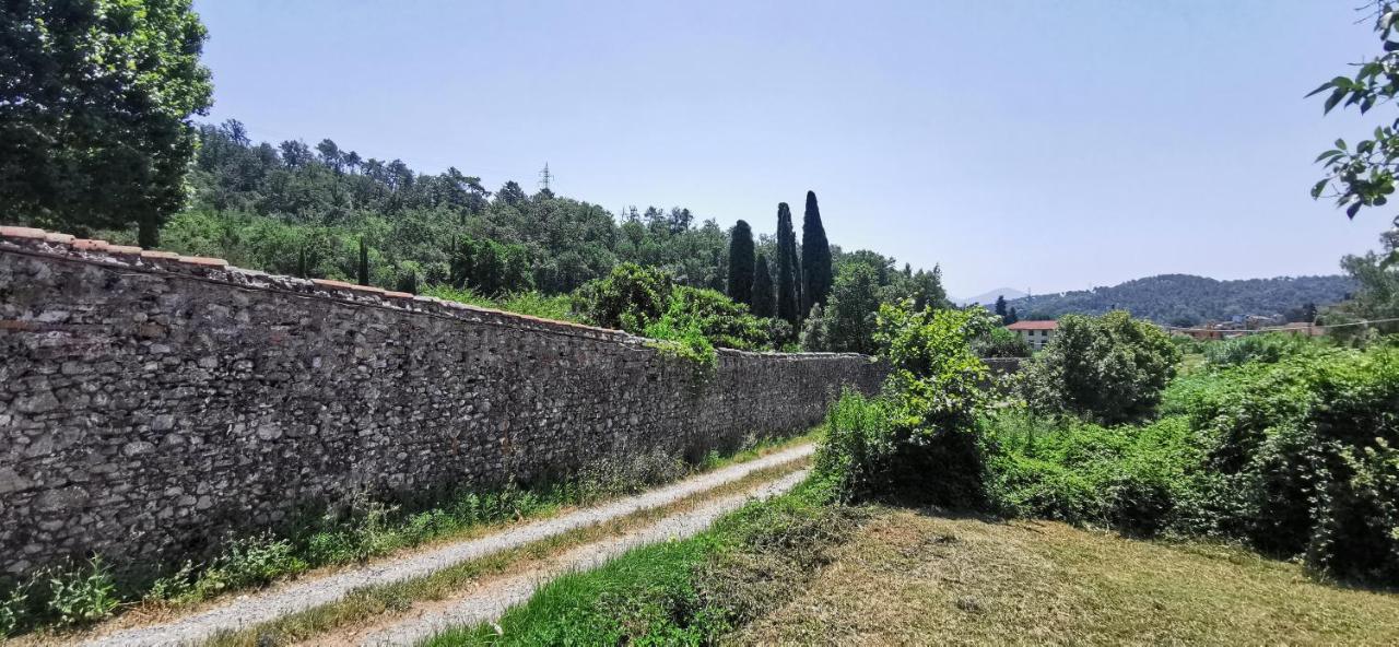 La Maison De Jardin Lucca Ngoại thất bức ảnh