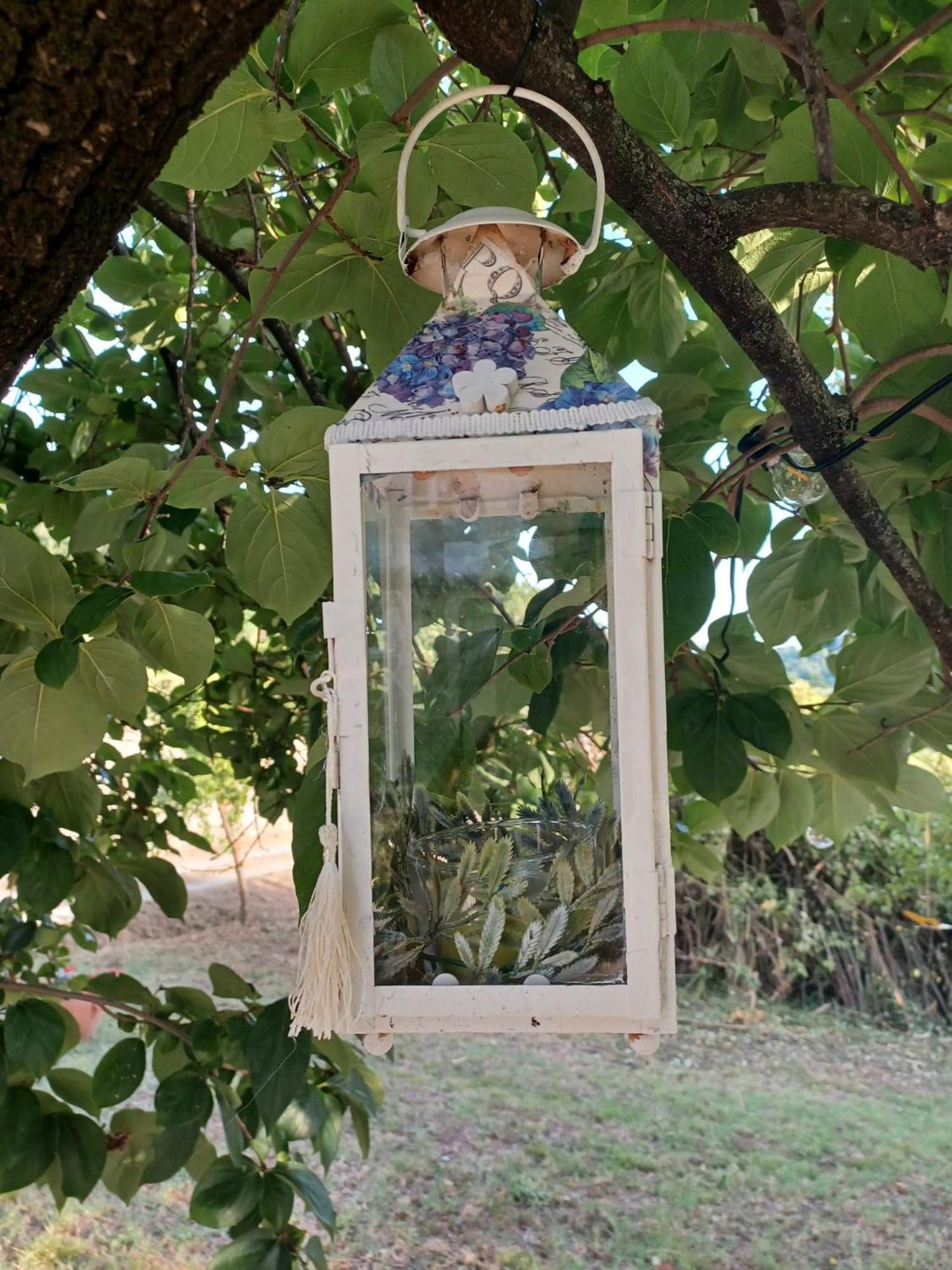 La Maison De Jardin Lucca Ngoại thất bức ảnh