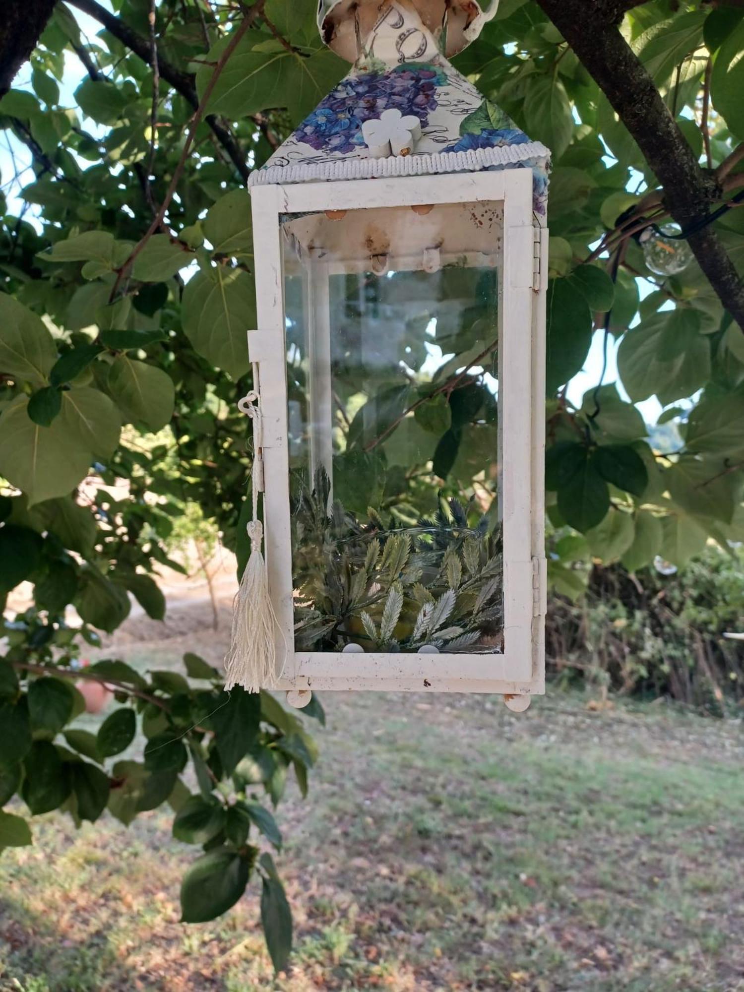 La Maison De Jardin Lucca Ngoại thất bức ảnh