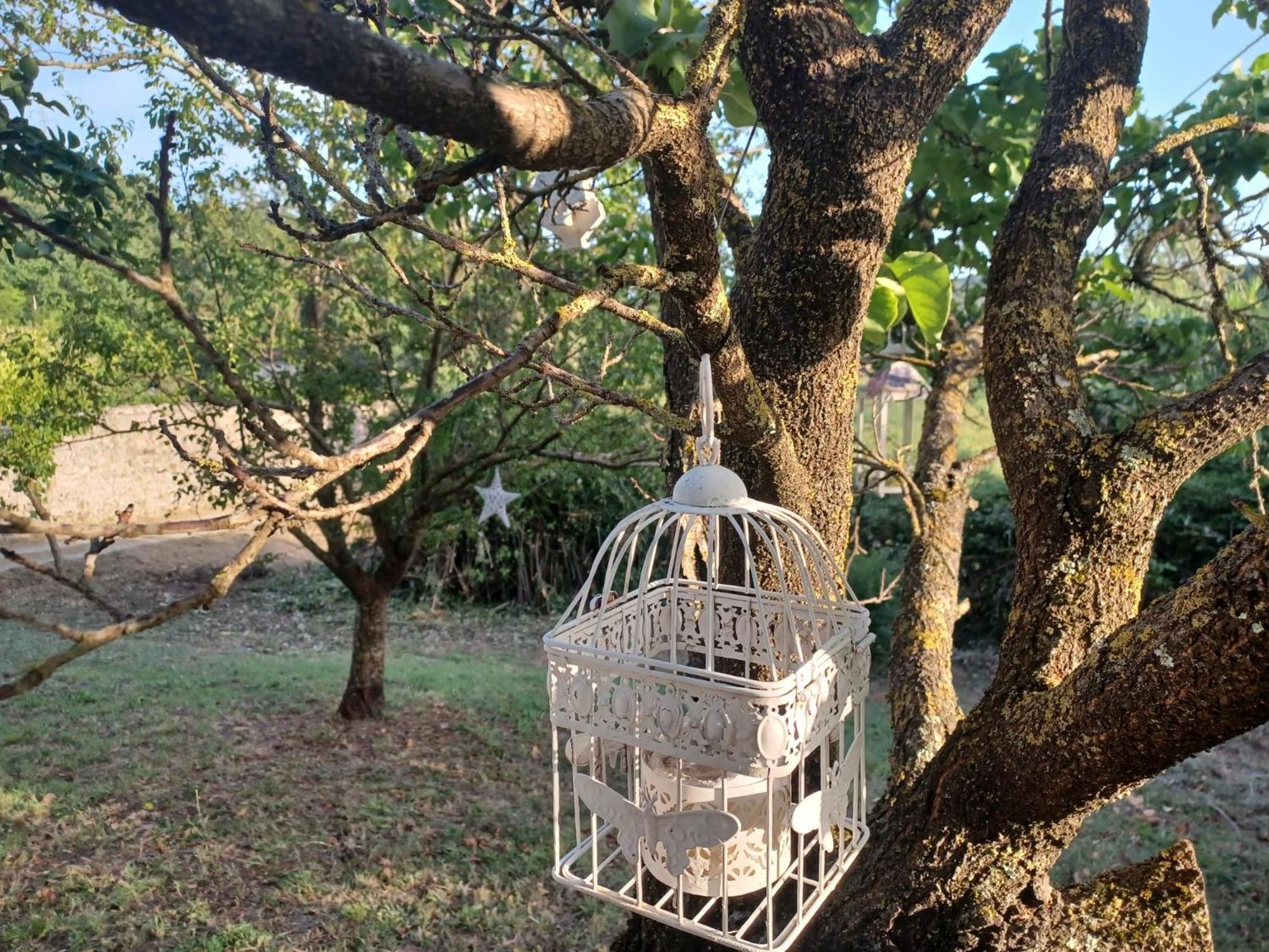 La Maison De Jardin Lucca Ngoại thất bức ảnh